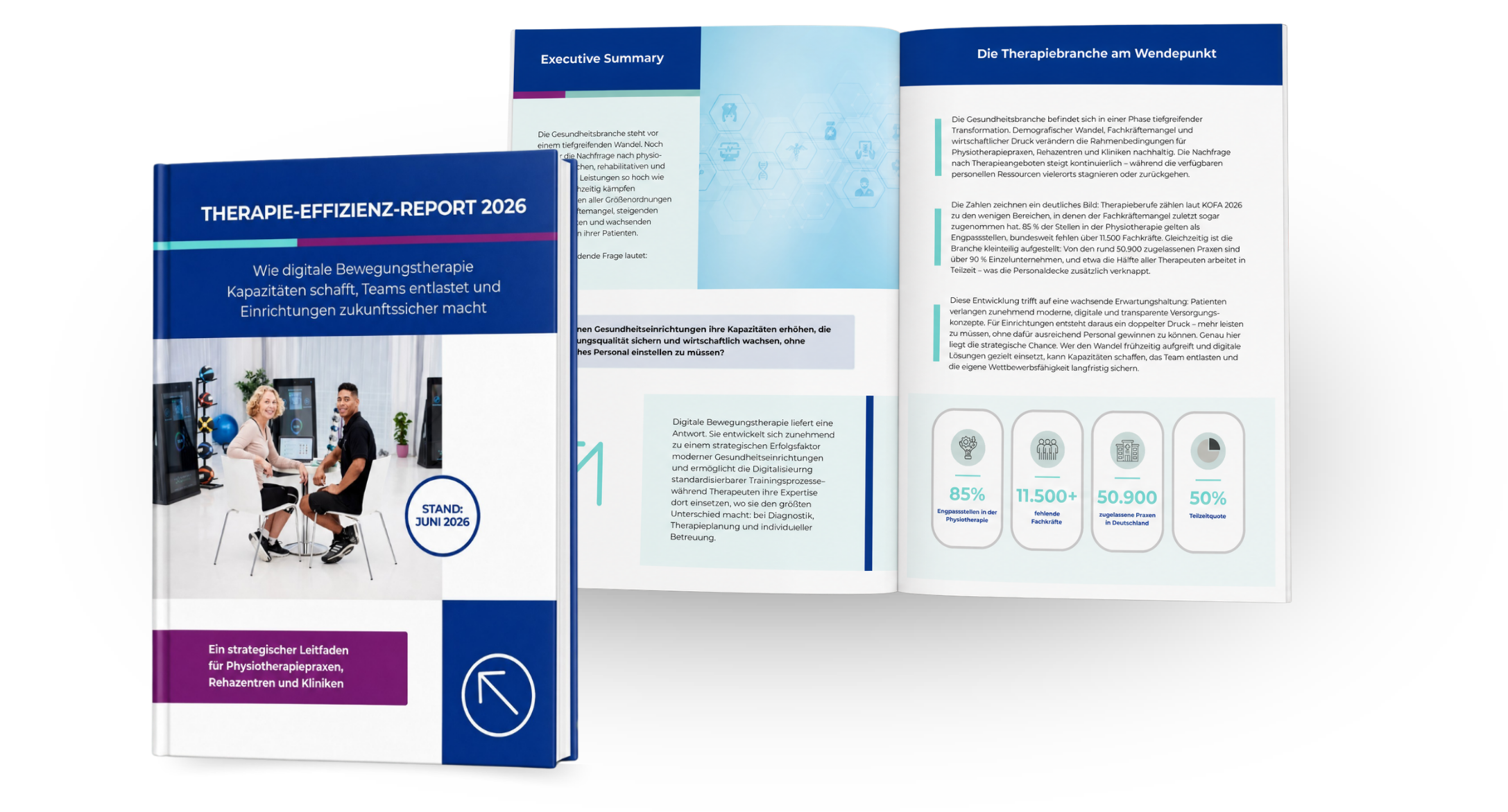 Therapie-Effizienz-Report 2026 – Pixformance